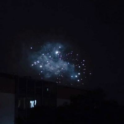 大贵族破解版下载